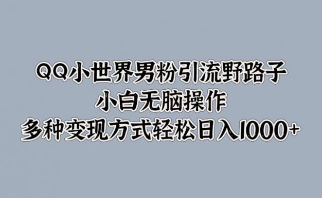 QQ小世界男粉引流野路子,小白无脑操作,多种变现方式轻松日入1000+