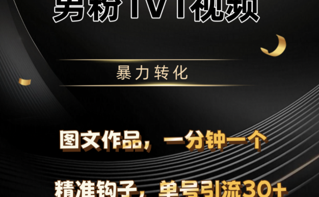 男粉1V1视频,硬改摄像头,高客单暴力转化,单日600+