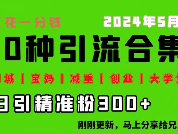 0投入，每天搞300+“同城、宝妈、减重、创业、大学生”等10大流量！
