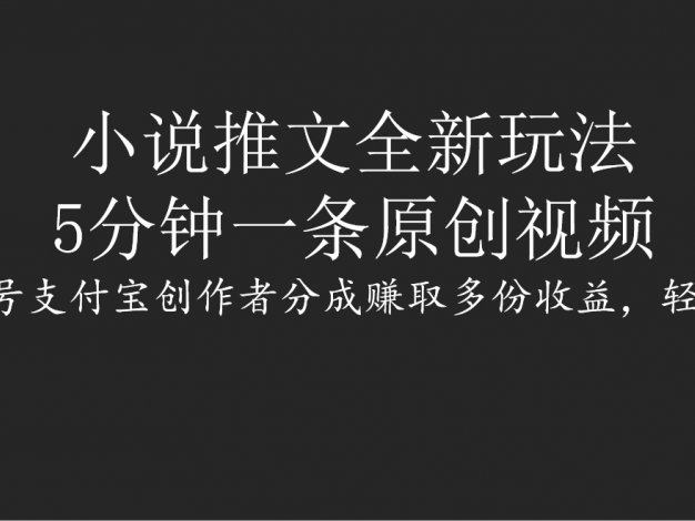 小说推文全新玩法，5分钟一条原创视频，结合视频号支付宝创作者分成赚取多份收益，轻松月入1W+